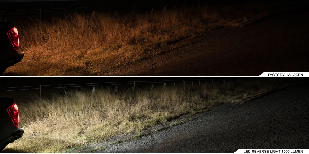 Stedi 1,000 Lumen BA15S Reverse LED Upgrade