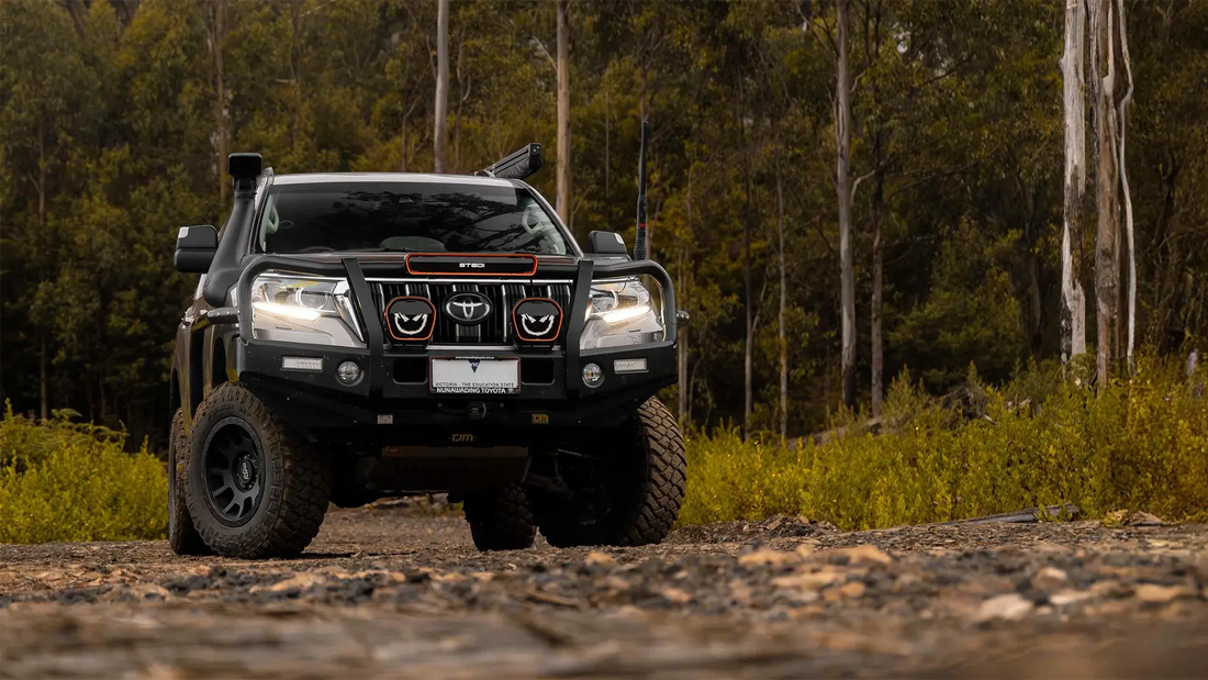 STEDI EVO Light Bar Buying Guide