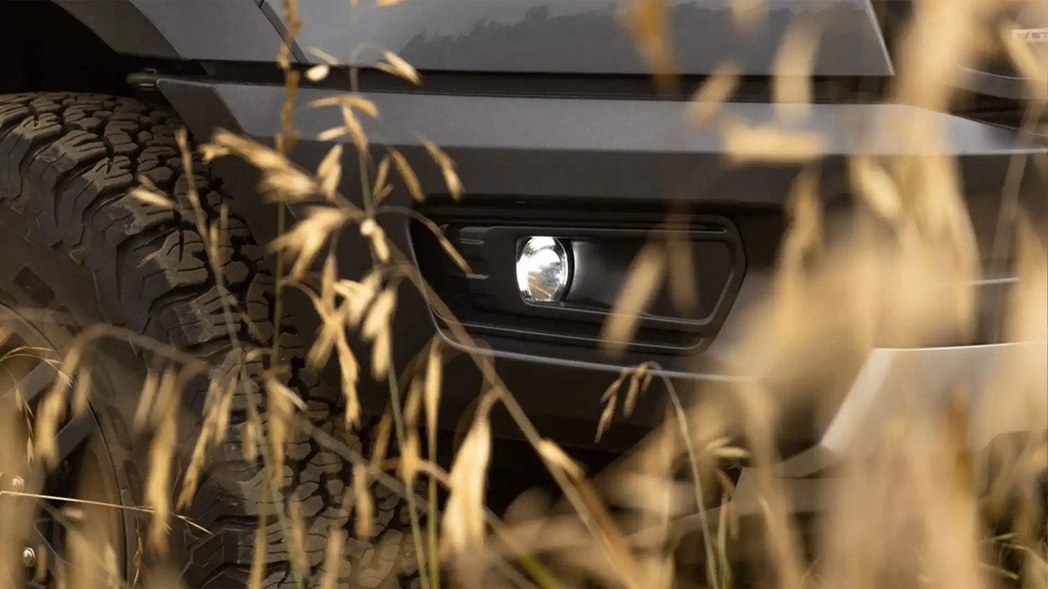 Fog Lights
