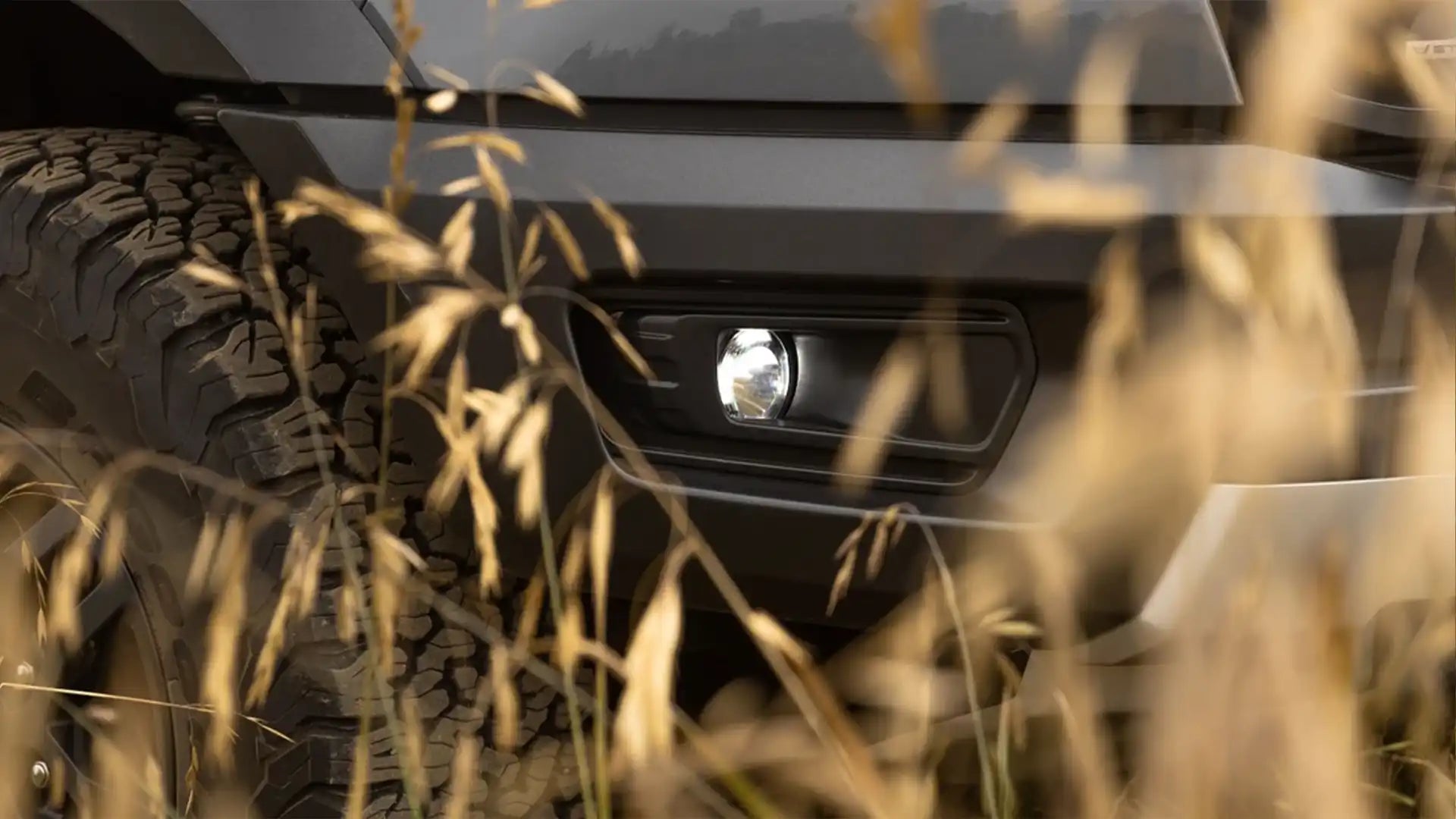Fog Lights