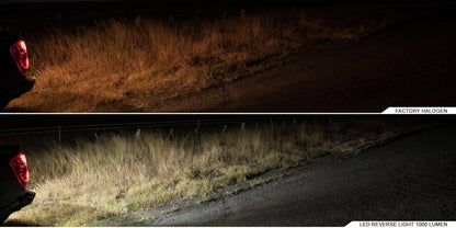 STEDI 1,000 Lumen T20 Reverse LED Upgrade (Pair) 