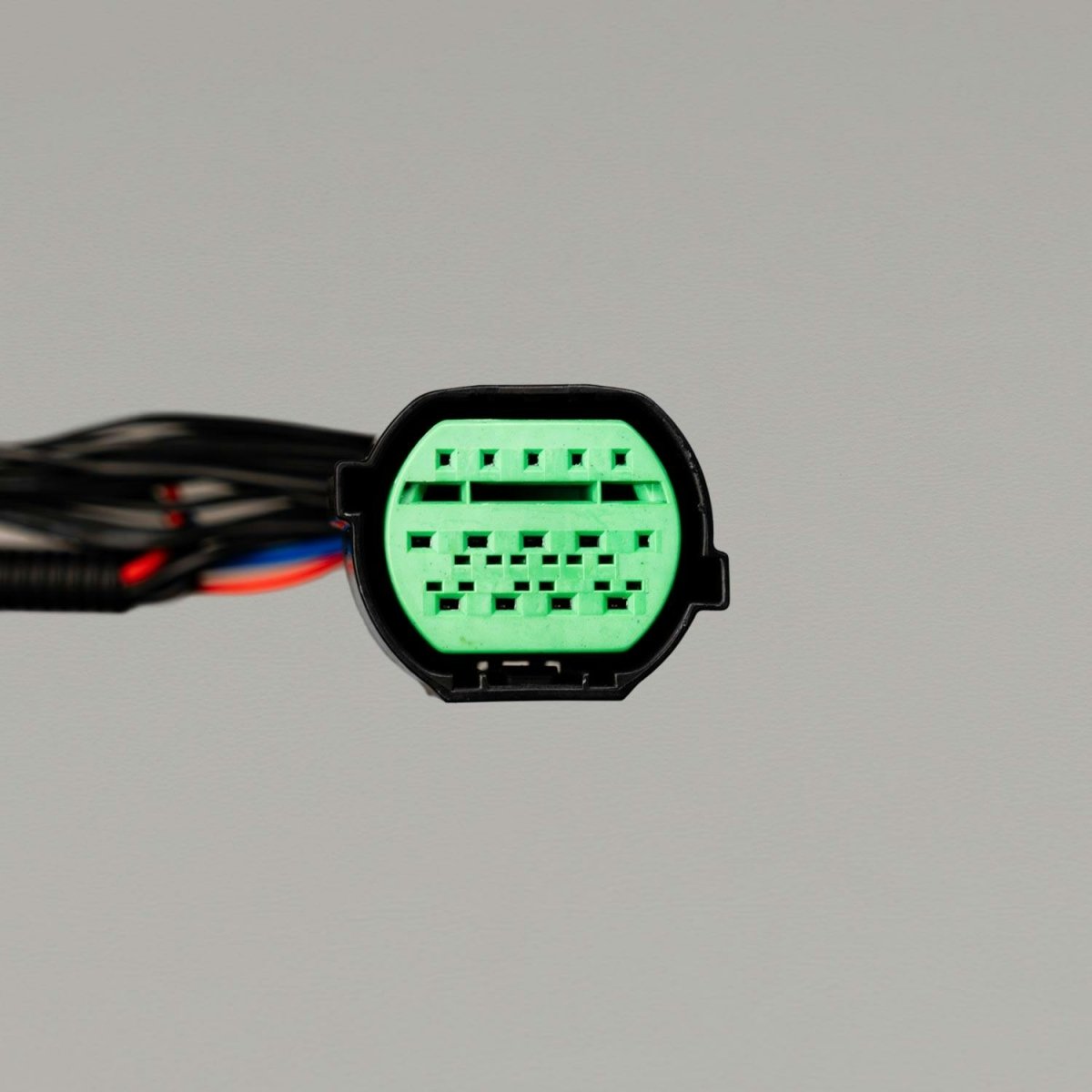 STEDI Piggyback Adapter to suit GWM Cannon 2.4T 2024+