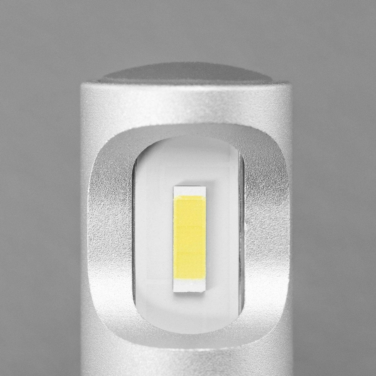 STEDI PWY24W LED Bulbs (Pair)