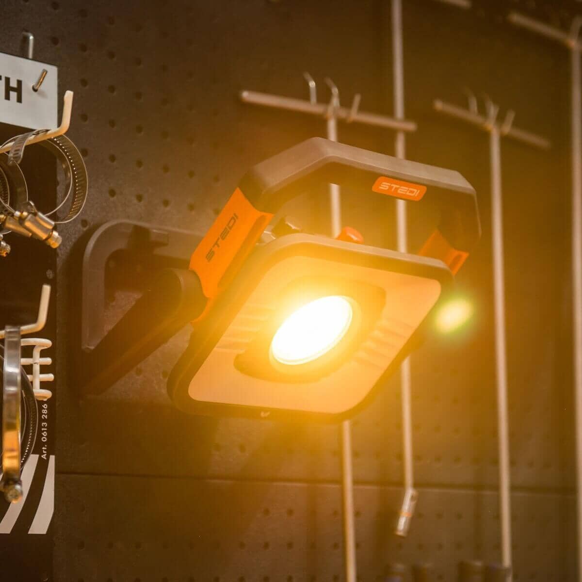 STEDI T3000 LED Area Light