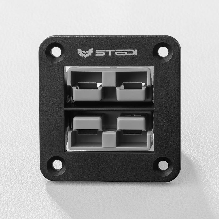 STEDI Twin Anderson Style Flush Mount